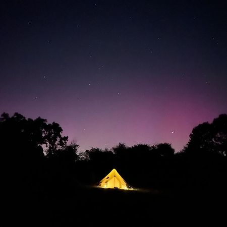 Bell Tent 4M And 7M Fossewold Cotswold Camping Moreton-in-Marsh Eksteriør bilde